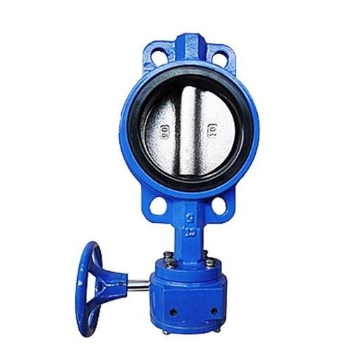 Hur mycket vet du om Wafer Butterfly Valve With Worm Gear?
